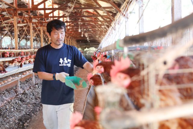 鶏にエサやりをする鉄人